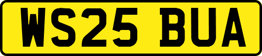 WS25BUA