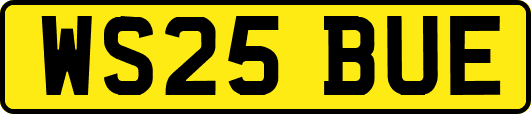 WS25BUE