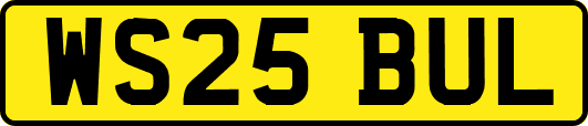 WS25BUL