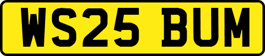 WS25BUM