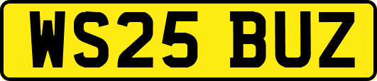 WS25BUZ