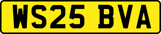 WS25BVA