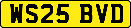 WS25BVD