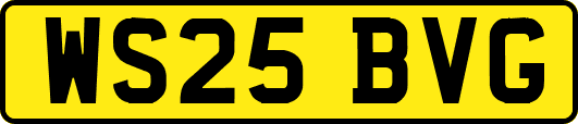 WS25BVG