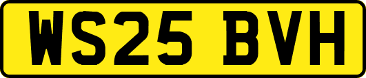 WS25BVH