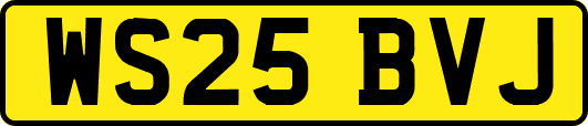 WS25BVJ