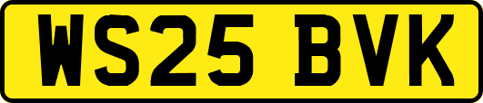 WS25BVK