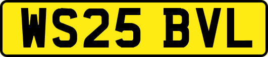 WS25BVL