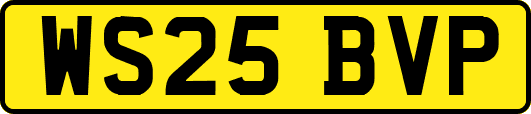 WS25BVP