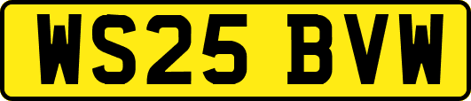 WS25BVW