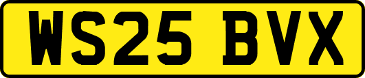 WS25BVX