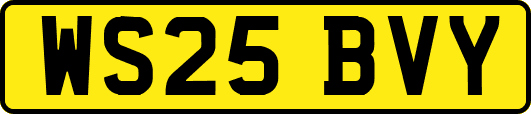 WS25BVY