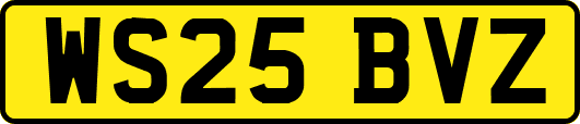 WS25BVZ
