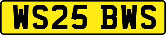 WS25BWS