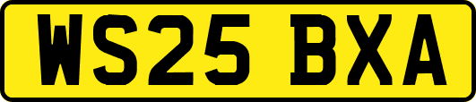 WS25BXA
