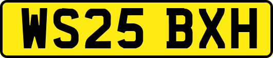 WS25BXH