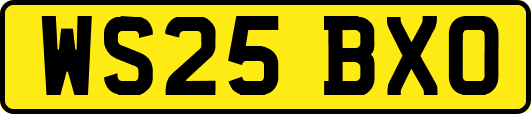 WS25BXO