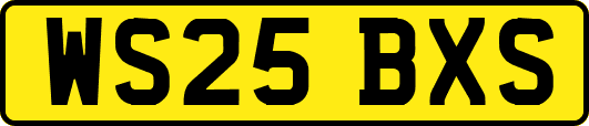 WS25BXS