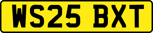WS25BXT