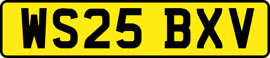 WS25BXV
