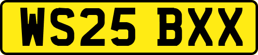 WS25BXX