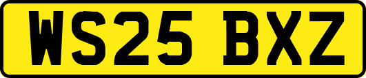 WS25BXZ