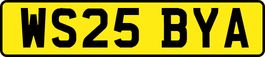 WS25BYA