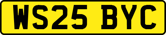 WS25BYC
