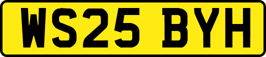 WS25BYH