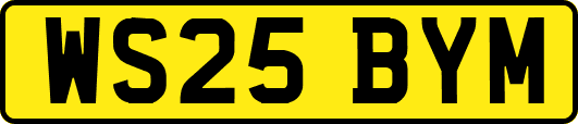 WS25BYM