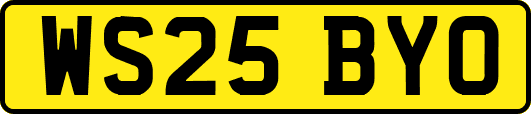 WS25BYO