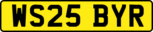 WS25BYR