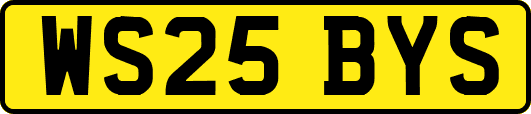 WS25BYS