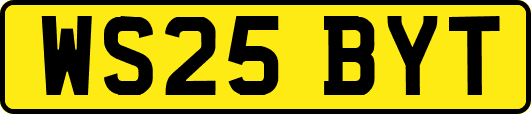 WS25BYT