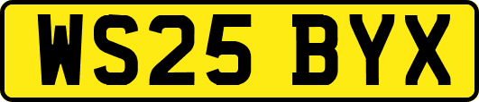 WS25BYX