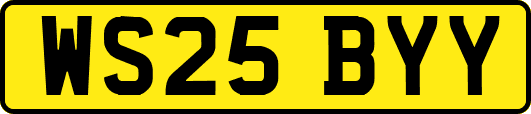 WS25BYY