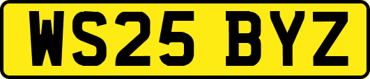 WS25BYZ