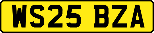 WS25BZA