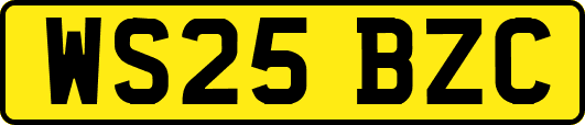 WS25BZC