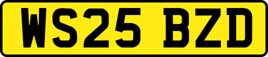 WS25BZD