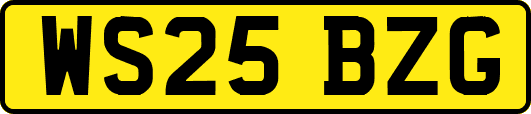 WS25BZG