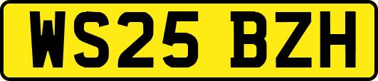 WS25BZH