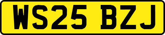 WS25BZJ