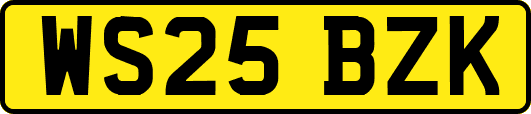 WS25BZK