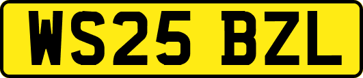 WS25BZL