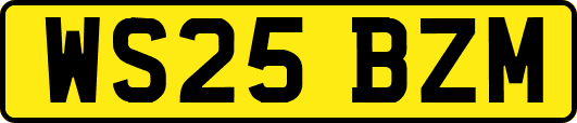 WS25BZM