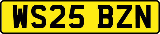 WS25BZN