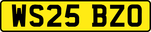WS25BZO