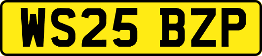 WS25BZP
