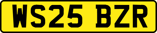 WS25BZR